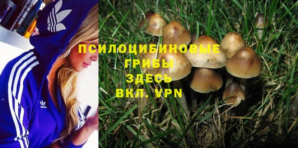 соль курить ск Аркадак