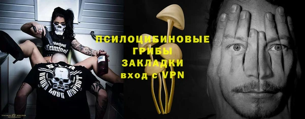 дмт Арсеньев