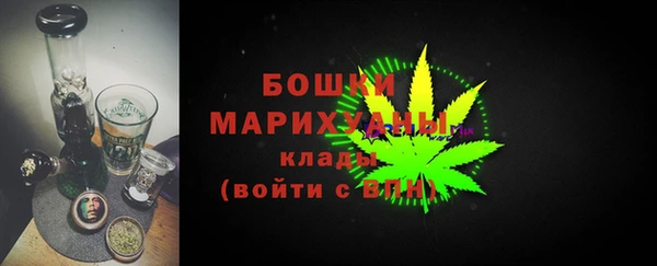дмт Арсеньев