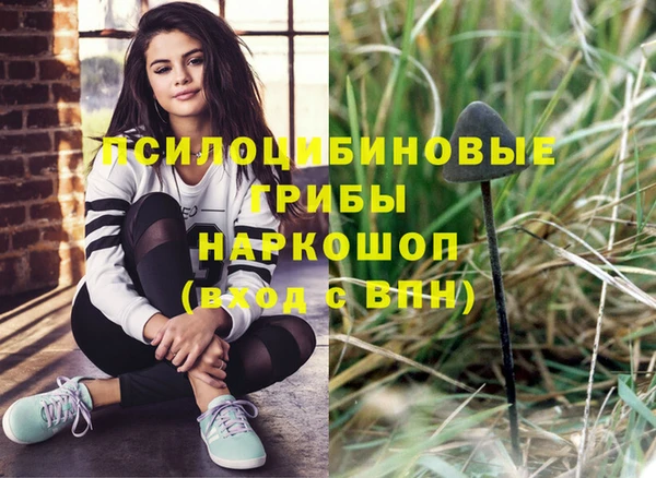 дмт Арсеньев
