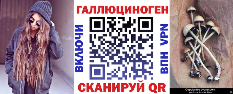 ОМГ ОМГ вход  Свободный  Псилоцибиновые грибы прущие грибы  что такое наркотик 